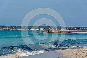 Seagull on Llevant beach on the Island of Formentera photo