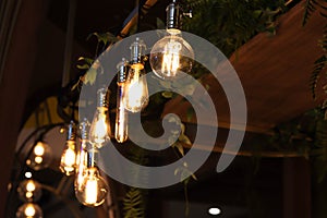 Llight bulbs - Image photo