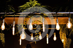 Llight bulbs - Image photo