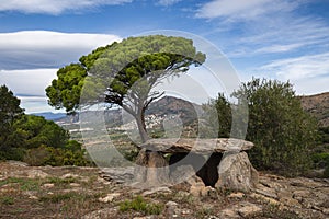 Llit de la Generala Dolmen in Roses, Alt Empodra, Catalonia