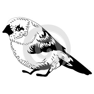 Llittle bird looks like a titmouse in black in a flat style. Design for textiles, factories, animal logo, tattoo, farm, decor