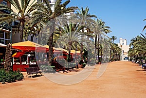 Rovinare spagnolo Spiaggia Catalogna viaggio il sole la città scena centro vicolo bar il cielo Palma palme un albero alberi 