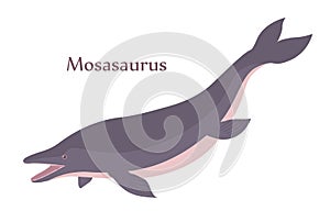 llustration prehistoric underwater dinosaur mosasaurus with fins