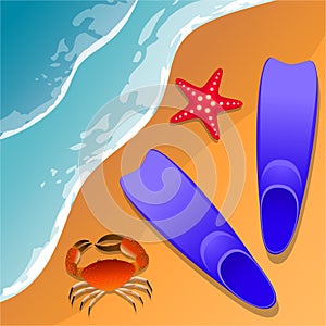 Llustrations at the beach theme. Summer vacation by the sea. Crab, starfish and swimming flippers in the sand. Sea surf