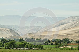 Lluta Valley landscape