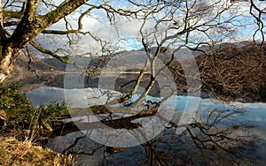 Llyn Dinas reflections photo