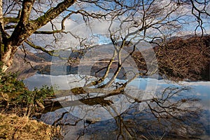 Llyn Dinas reflections