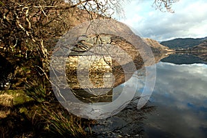 Llyn Dinas reflections