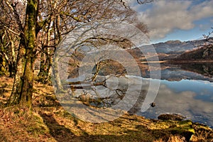 Llyn Dinas reflections