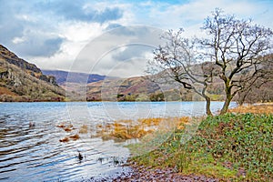 Llyn Gwynant lake in the Snowdonia National Park, Wales