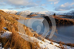 Llyn Y Dywarchen