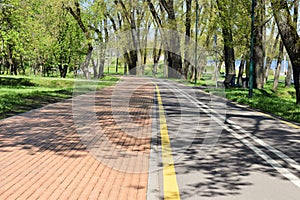 Lmodern bike path in the park