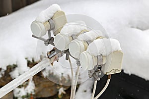 lnb in the snow photo