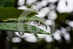 Lo que la lluvia me dejÃÂ³ photo