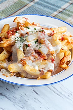 Loaded Bacon Ranch Fries