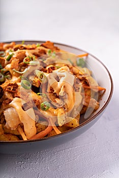 Loaded dirty vegan fries with fermented cabbage, hot mayo and crunchy coconut flakes