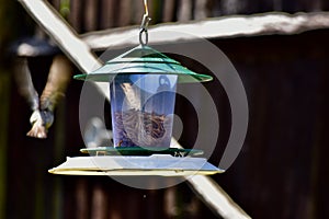 A loaded hanging bird feeder