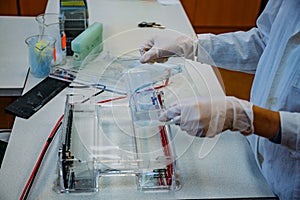 Loading the agarose gel with samples for the separation of DNA fragments for electrophoresis. Device for gel-electrophoresis