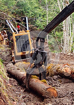 Loading arm with Skidder