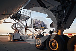 Loading of cargo containers to freight airplane