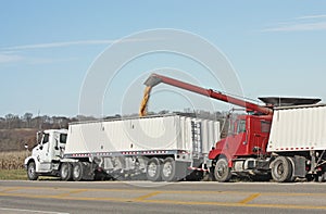 Loading Corn