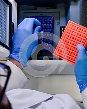 Loading a DNA tube into a PCR polymerase chain reaction thermocycler machine in a bioscience laboratory. Concept of science,