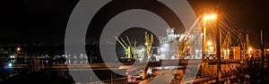 Loading grain in the port. Night panoramic view