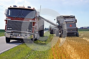 Loading Grain for Transport