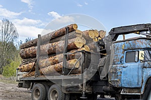 Loading heavy industrial truck trailer with big timber pine, spruce, cedar logs by crane grab loader tractor machine