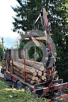 Loading logs