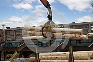 Loading logs onto a logging truck. Portable crane on a logging truck