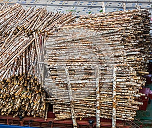 Loading of logs in the port
