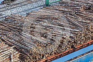 Loading of logs in the port