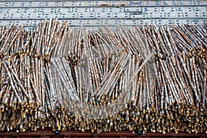 Loading of logs in the port