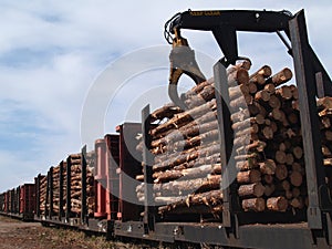 Loading Logs on a Railcar