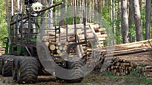 Loading logs on a truck trailer using a tractor loader with a grab crane. Deforestation and exploitation of nature