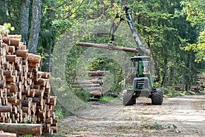 Loading logs on a truck trailer using a tractor loader with a grab crane. Transportation of coniferous logs to the sawmill.