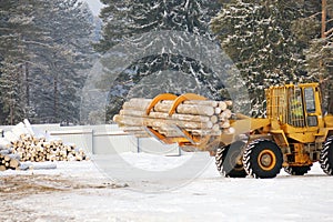 Loading lumber. Forest logs, unload the tractor. Forest industry.