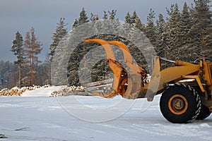 Loading lumber. Forest logs, unload the tractor. Forest industry.