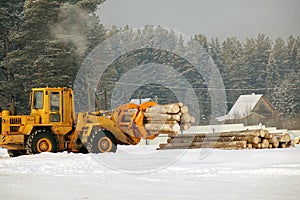 Loading lumber. Forest logs, unload the tractor. Forest industry.