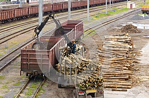 Loading Lumber Into Freight Train at Railway Yard During Daytime