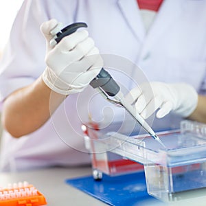 Loading samples into gel for electrophoresis