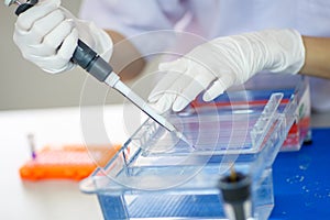 Loading samples into gel for electrophoresis