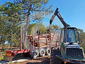 Loading a truck full of tree logs