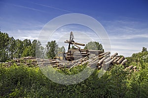 Loading A Truck Full Of Tree Logs - Lumber Industry