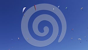 Loads of paragliders soar in the blue sky on a clear day