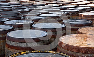 Loads of whisky barrels in a distillery, waiting to be filled