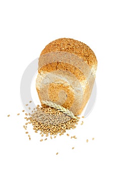 Loaf of Bran Bread with Wheat Grains And Ear