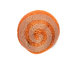 Loaf of bread isolated on white