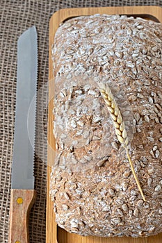 Loaf of bread and wheat on wooden cutting board with knife, top view